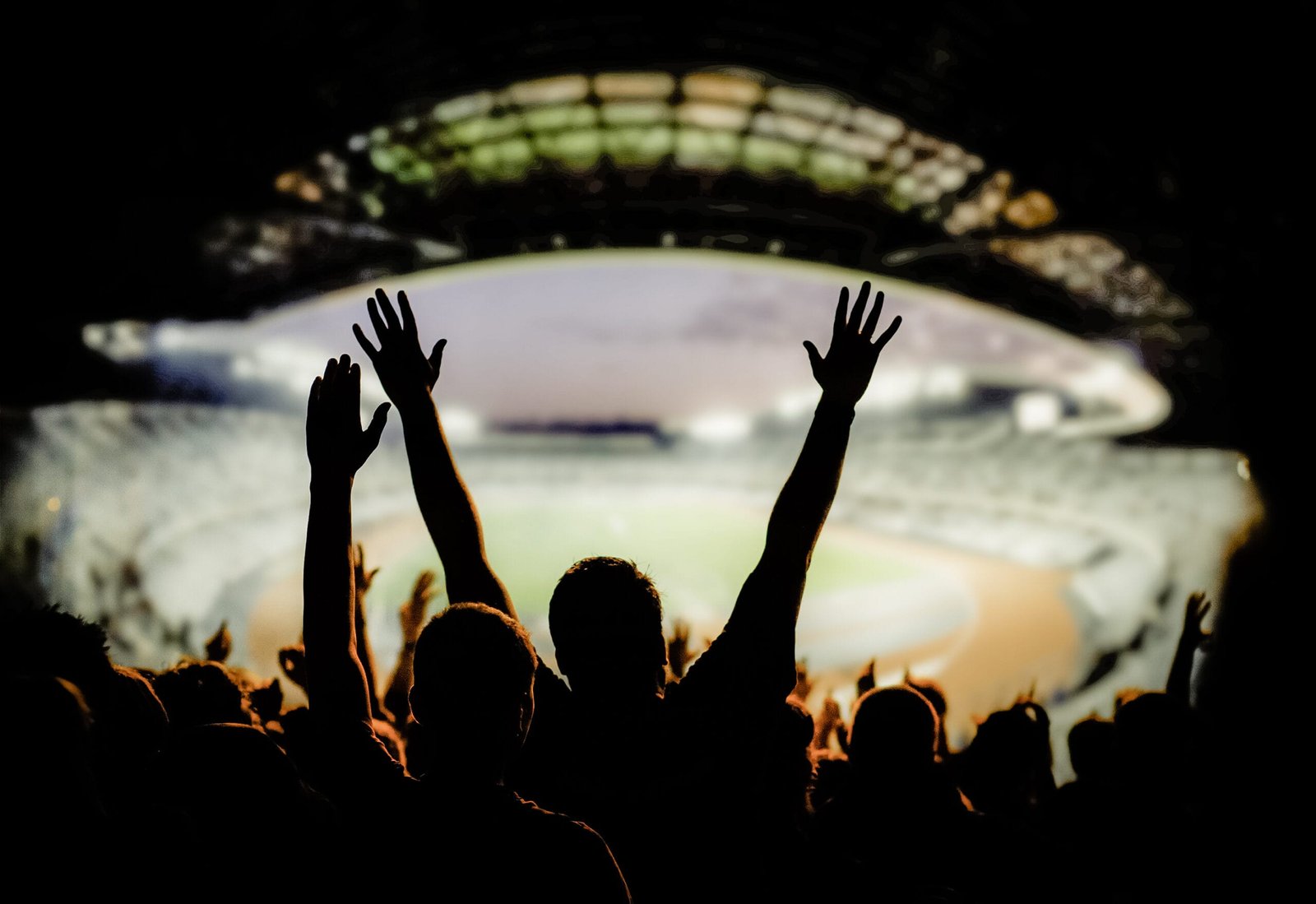 football or soccer fans at a game in a stadium world cup football or soccer fans at a game in a stadium world cup